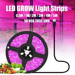 Grow Lights Full Spectrum Phyto Lamp USB 5V LED Light Strip Tape 2835 SMD Plant Flower Indoor Greenhouse Seeds Cultivo Hydroponic