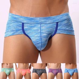 Underpants Men's Boxers Sexy Low-rise Shorts Fashion Swimwear Summer Breathable Printing Underwear Pouch Men Briefs Boxer