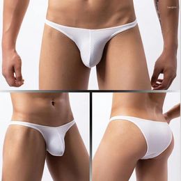 Underpants Briefs Thong Knickers Sexy Men Underwear Ultra Thin Ice Silk Men's Penis Large Pouch Slips Hombre Erotic