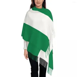 Scarves Nigeria Flag Scarf For Women Fall Winter Cashmere Shawl Wrap Long With Tassel Ladies