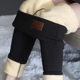 Women's Pants Winter Fashion Lamb Cashmere Leggings Office-lady Cotton Velvet Thickened Warm Long Women Casual Soft Trousers 29636