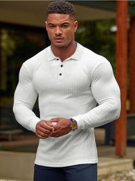 Men's Polos 2023 Autumn Sports Lapel Long Sleeve Polo Shirt Fashion Plus Size Stretch Breathable T-shirt Men