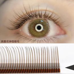 False Eyelashes 5D Russia Volume Spikes Fairy Flora Mink Lashes Cluster Eyelash Extension Grafting Individual Easy Fan Wholesale