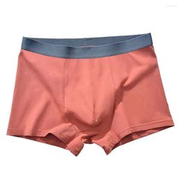 Underpants Mens Cotton Boxer Solid Underwear Sexy Brief Middle Waist Panties Comfort Soft Lingerie Wicking Breathable