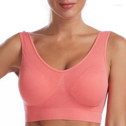 Yoga Outfit S-2XL Sports Bra Women Shockproof Gathering Running Top Large Size Without Steel Ring Tank