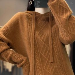 Women's Sweaters Style Cashmere Wool Ladies Hooded Collar Sweater Loose High-end Long-sleeved Knit Pullover Women Autumn/Winter