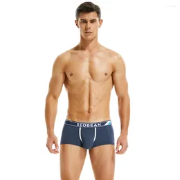 Underpants SEOBEAN Brand Mens Low Rise Cotton Sexy Boxer Trunk Underwear Five Colours