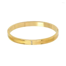 Bangle Cuff Bracelets Bangles Charm Luxury Gold Color Punk Lover Jewelry For Women Couple Pulseiras Lady