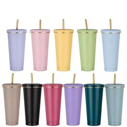 500ml 750ml Stainless steel tumblers with straw lid double walled Vacuum insulated sippy cup with gold rim macaron color coffee cups portable water bottle FY5929 119