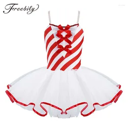 Stage Wear Kids Girls Christmas Dance Costume Sleeveless Striped Figure Ice Skating Dresses Gymnastics Leotard Dress Tutu Ballet