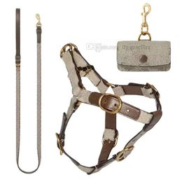 Leashes Designer Dog Harness Leash Set No Pull Dog Harness With Classic Letter Pattern No Chock Puppy Step in Vest Harness Leather Lightwe