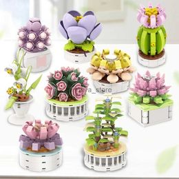 Model Building Kits Block City DIY Potted Plants Succulents Cactus Gypsophila Bonsai Tree Gardens Romantic Building Blocks Model Kids Sets Kits ToysL231216