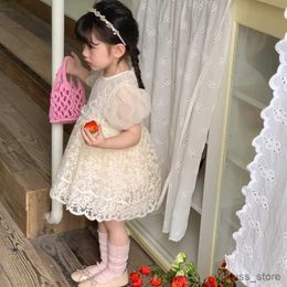 Girl's Dresses Children Beige Embroidered Tulle Dress Girls Lace Princess Baby Ball Gown Bubble Dresses Kids Birthday Party