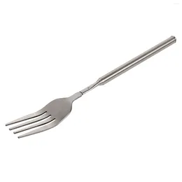 Forks Stainless Steel BBQ Fork Extendable Long Handle Dinner Fruit Dessert Home Kitchen Practical Cutlery