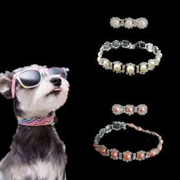 Collana di perle con diamanti d'acqua Gioielli Collare per animali domestici Accessori per cani di piccola taglia e gatti