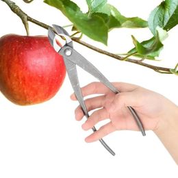 Pruning Tools Bonsai Knob Cutter Concave Edge Root Cutting Pliers Stainless Steel Ball Shear Scissors Tree Limb Tool 231219