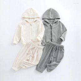 Clothing Sets Baby Two-piece Outfit Set Cotton Waffle Casual Suit For Children Boys Girls Spring Autumn Solid Color Hooded Sweaters Pants