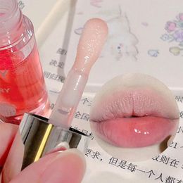 Lip Gloss Transparent Oil Glass Fragrance Non-sticky Moisturises Tint Plumper Care Serum Primer Big Brush Head