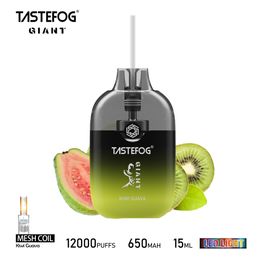 Tastefog Giant 12000 Puffs Type-C Rechargeable 12K Wholesale Disposable Vape E-Cigarette 650mAh 12 Flavours with 2% Nic