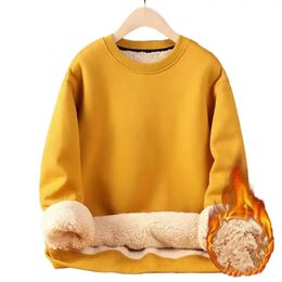 Men's Hoodies Sweatshirts Men Sweatshirt Men's Plush Warm Winter Sweatshirt with Heat Retention Long Sleeve Round Neck Pullover Soft Pure Colour Mid Length 231220