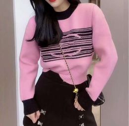 Womens Luxury Brands Designers Sweater Pink Letters Pullover Men s Hoodie Long Sleeve Sweatshirt Embroidery Knitwear Winter Clothes 2023 Ck