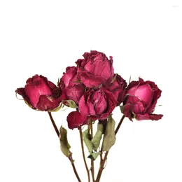 Decorative Flowers Dried Rose Romantic Bubble Small Fresh Dry Bouquet Ins Northern Europe Wind Home Furnishing Decorate