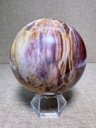 Decorative Figurines Natural Petrified Wood Sphere Free Form Carving Reiki Healing Stone Home Decoration Exquisite Gift