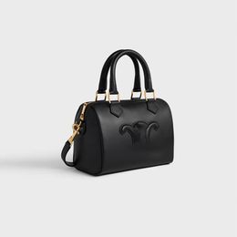 Designer triomphe smooth calf leather of Little Boston TRIOMPHE CANVAS logo print Luxury designer women Triomphe shoulder bag handbag Borsa da donna di design