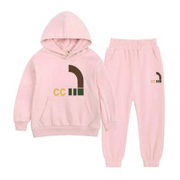 Sets 213years children's Clothing TOP hoodie Sets BABY boys girls cotton Garment kids Designer printing Outdoor sports sweater pants C