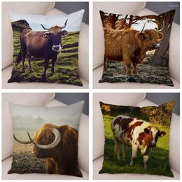 Pillow Scotland Kyloe Case Decor Wild Cow Colourful Animal Print Pillowcase Soft Short Plush Cover For Home Sofa 45x45cm