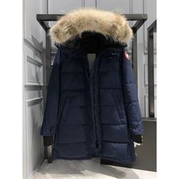 designer winter hoodie coat for woman winter jacket Designer Women Goose Mid Length Version Puffer Down Womens Jacket Down Parkas Winter Thick Warm Coats Streetwear