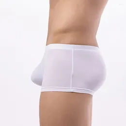 Underpants Summer Thin Underwear Men Boxer Brief Ice Silk Seamless Shorts Bulge Pouch Solid Soft Breathable Comfortable Panties