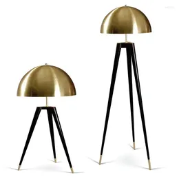 Floor Lamps Nordic Lamp Designs Child Black Feather Light Modern Arc