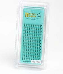 Big eye039s secret 1 tray 010mm thickness Volume 10D middle Eyelash Extensions Korea mink handmade Individual Lashes Fans Lash4728779