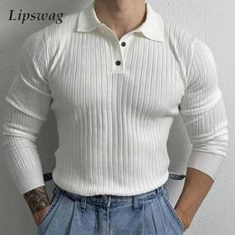 Men's Polos 2023 Autumn Fashion Knit Polo Shirt Mens Casual Slim Fit Long Sleeve Ribbed Knitted Tops For Men Stylish Collar Shirts