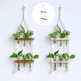 Creative Solid Wood Hydroponic Test Tube Glass Wall Hanging Wall Decoration Vase Home Plant Hanging Wall Decoration Container 2206263z