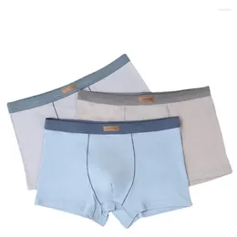 Underpants Solid Colour Men's Underwear Breathable Skin-friendly Modal Simple Elastic Large Size Boxer Briefs