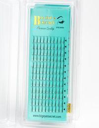 Big Eye039s Secret Long Stem Pre Made Eyelash Fans 5D Russian Volume Eyelashes Extension For Makeup Salon Eyelash Extension kit9592839