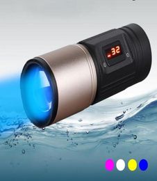 Powerful LED Flashlights 4 Color Light White Yellow Blue Purple 3 Modes Waterproof Headlight Flash Light Flishing3643517