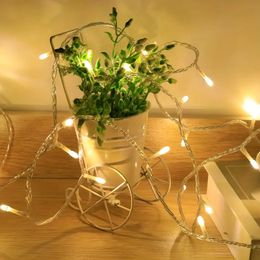 1 pc,20 LED light string,USB power supply,fairy light flashing light string,suitable for family parties,garden weddings,(Warm White)(Multi-Color)