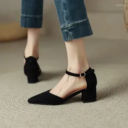 Dress Shoes Office Women Small Heel Suede Flock 2023 Pointed Toe Ankle Warp Block Middle Heels Woman Sandal Large Size 42 43