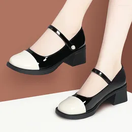 Dress Shoes 5cm Comfortable Mix Color Shallow Med Block Heels Genuine Leather 2023 Fall Women's Mary Janes For Office Girls Work Dance