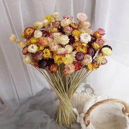 Wreaths Decorative Flowers Wreaths Rose Daisies Dried Natural Real Flower AirDried Bouquet At Home Tabletop Decoration Floral Arrangement