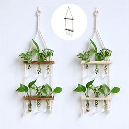 Creative Solid Wood Hydroponic Test Tube Glass Wall Hanging Wall Decoration Vase Home Plant Hanging Wall Decoration Container 2206263U