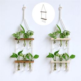 Creative Solid Wood Hydroponic Test Tube Glass Wall Hanging Wall Decoration Vase Home Plant Hanging Wall Decoration Container 2206215t