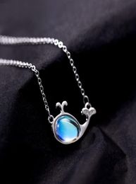 Simple Temperament Small Fresh Dolphin Necklace Sweet Girl silver Plated Clavicle Chain Jewellery Accessories9686977