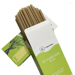 Disposable Cups Straws 100pcs/box Sugarcane Biodegradable Compostable Drinking