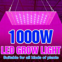 Grow Lights 1000W Full Spectrum LED Plants Light 220V Flower Growth Lighting 1500W Phytolamps For Seedlings Fito Lamps Hydroponic 264n