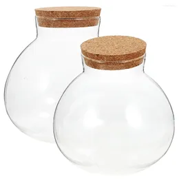Vases 2 Pcs Succulent Plants Micro Landscape Ecological Bottle Candy Jars Bowl Glass Microlandscape