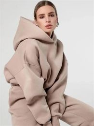 Women Tracksuit Casual Hooded Long Sleeve Sport Suits Autumn Winter Warm Sweatshirts Drawstring Pant Fleece Two Piece Sets 231222